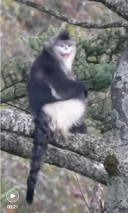 微信截图_20251126150944.png